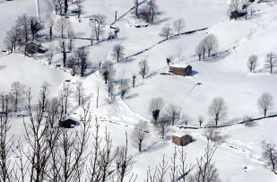 Webpresidencia nieve